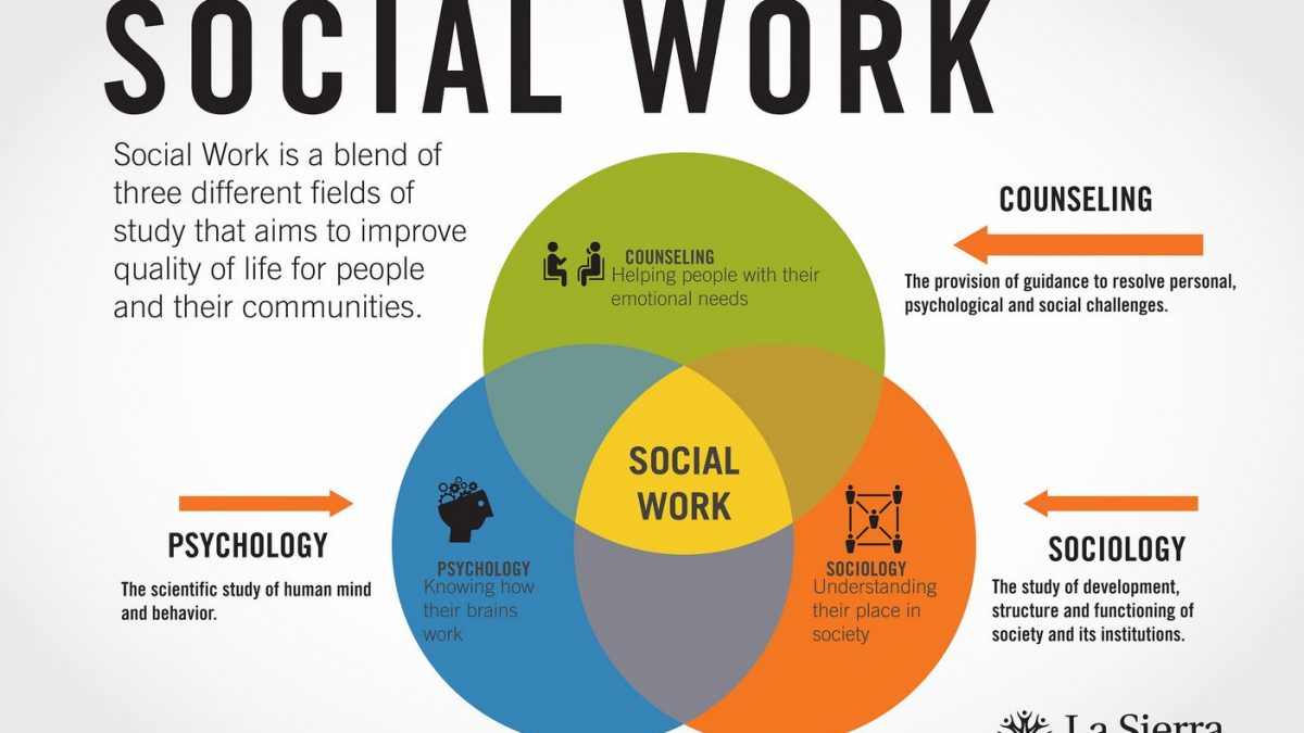 Discussion on three levels of social work in your placement