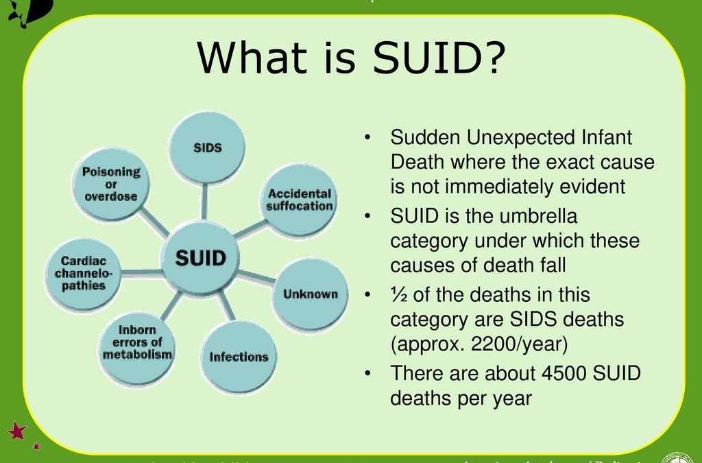 Define both SIDS and SUID in 1500 to 2000 words