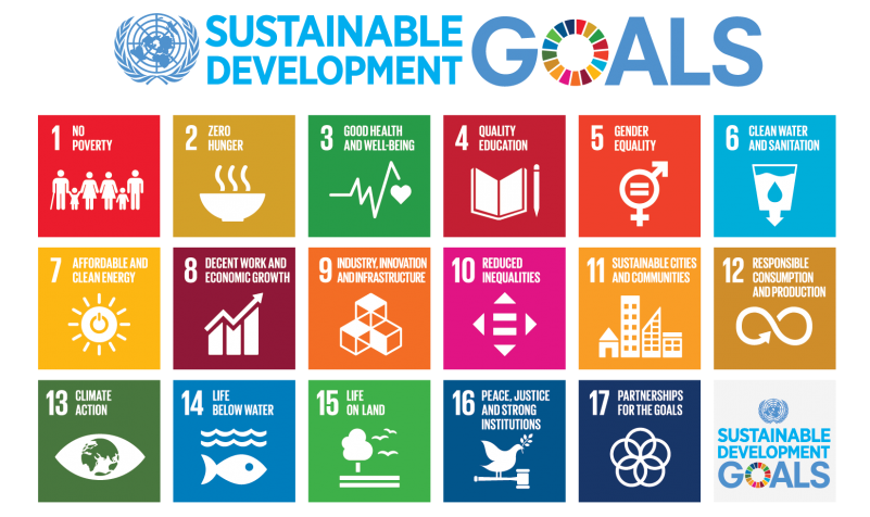 A white paper drawn from UN sustainable development goals