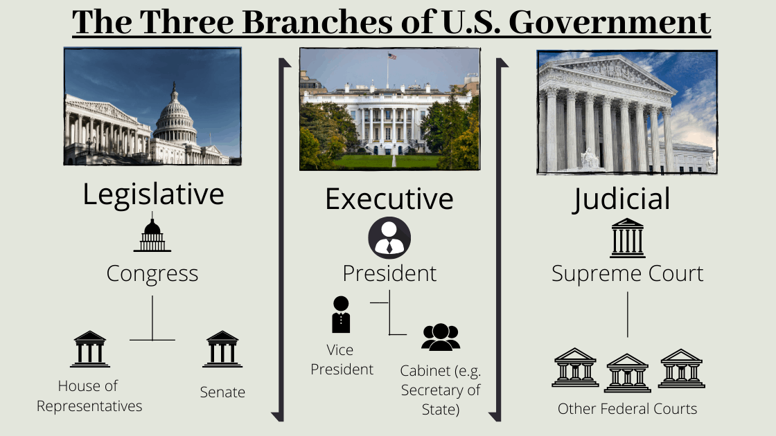 Analyze the 3 branches of the federal government