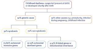 Are congenital and genetic deafness the same? 