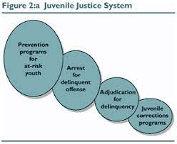Roles Within the Juvenile Justice System