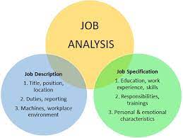 Is there a difference between job analysis and work analysis? 