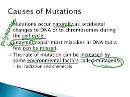 Mutations are accidental changes in a genomic sequence of DNA