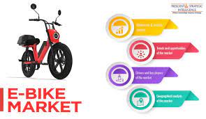 You have been hired to consult individually with Worldwide eBikes