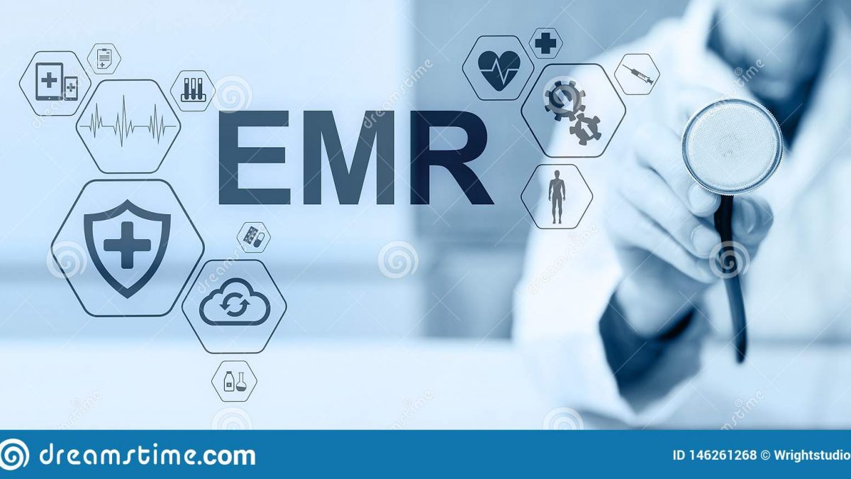Identify two software systems to address the EMR needs