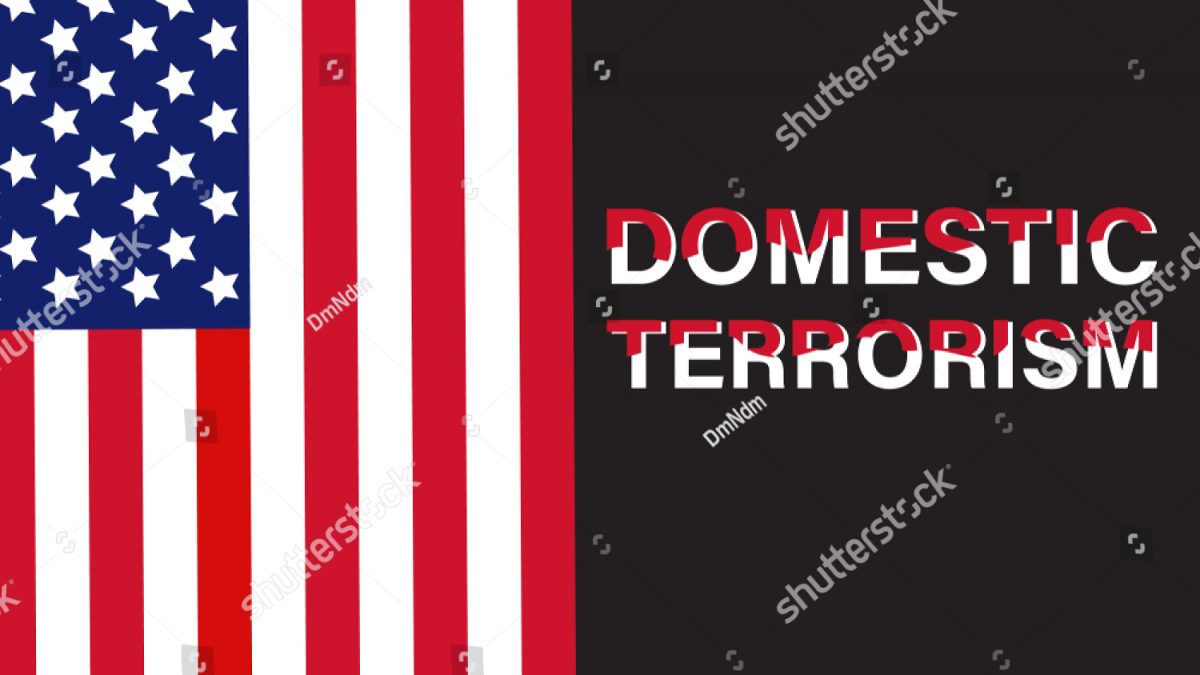 Discuss the 3 classifications of domestic terrorism