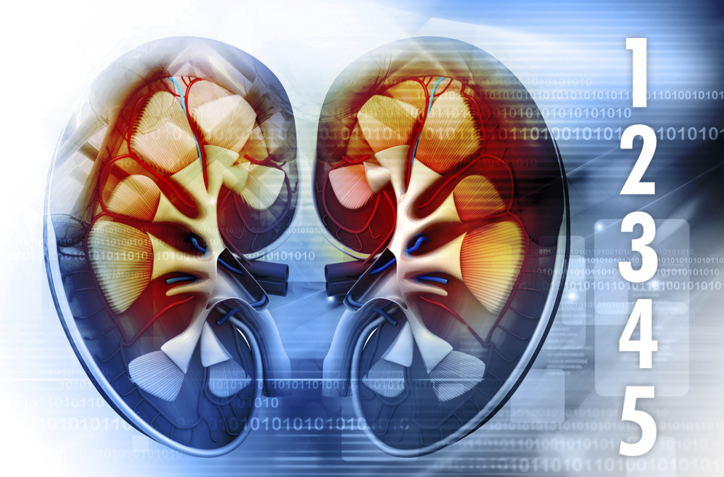 Describe the stages of chronic kidney disease