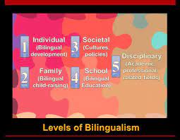 The research paper is about bilingualism and multiculturalism