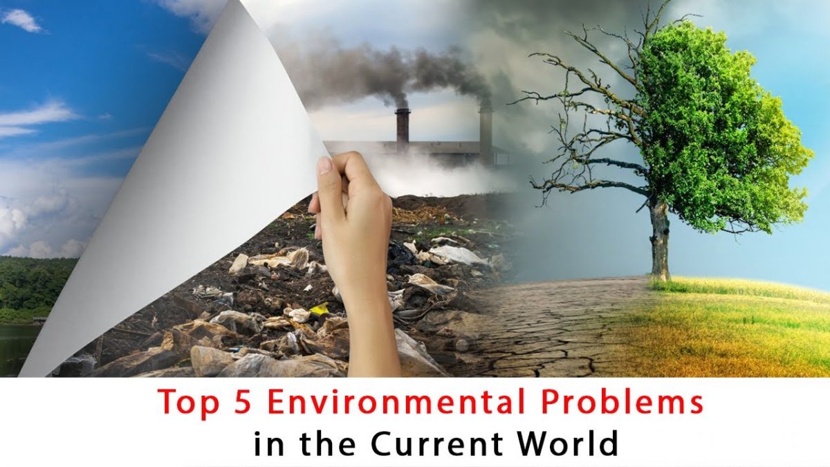 A global or local environmental problem