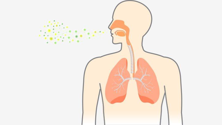 The pathophysiological changes on Pneumonia