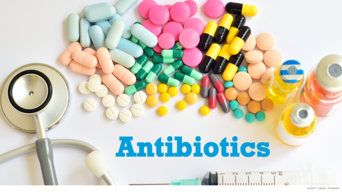The antibiotic or antimicrobial usage towards the treatment of diseases