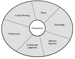 Competency in nine areas of social work practice