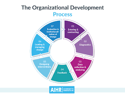 Critically apply strategic management and organisational development theories 
