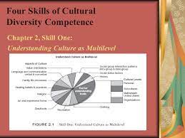 Understanding Culture as Multilevel and Multidimensional