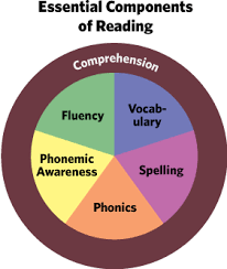 What does research say about the component and connections to literacy?