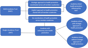 What aspect of health promotion program development are you most interested in and why?