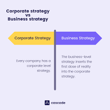 BUSINESS LEVEL AND CORPORATE LEVEL STRATEGIES