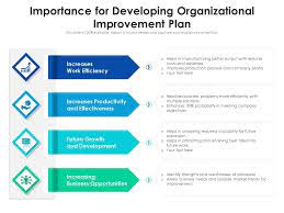 Organizational Improvement Plan