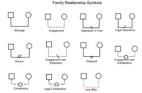 Develop a genogram of their family